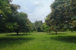 Lot for Sale in Balamban, Cebu