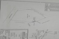 Lot for Sale in Barangay Tisa, Cebu City