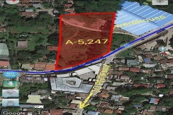 Lot For Sale in Consolacion Tayud