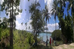 Beach lot in Badian Cebu