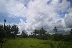 Lot for Sale in Compostela Cebu