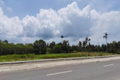 Lot for Sale in Dumanjud Cebu