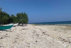 Beach Lot in Oslob, Cebu