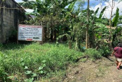 Industrial Lot in Tayud, Liloan, Cebu