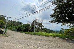 Residential Lot in Ma. Luisa Estate Cebu City