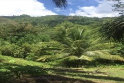 Agriculture Farm For Sale in Sibonga, Cebu