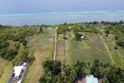 Beach Lot for Sale in Brgy Catarman Panglao Bohol