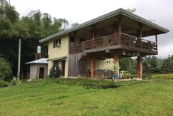 For Sale Developed Farm in Balamban, Cebu